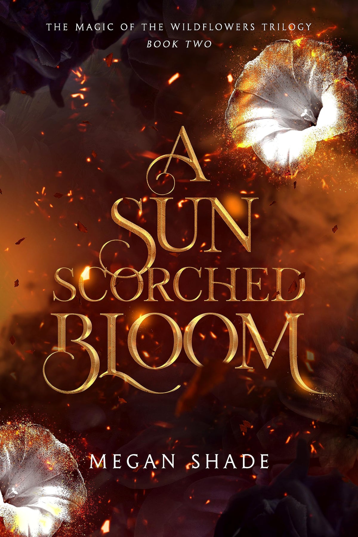 A Sun Scorched Bloom - Megan Shade