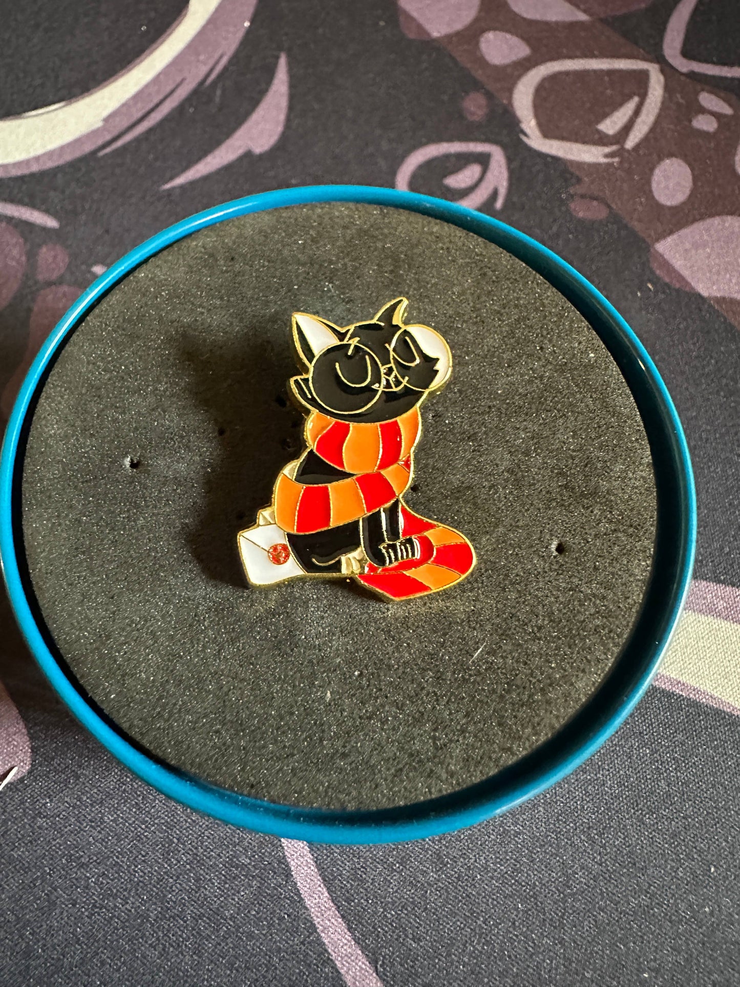 Harry Potter Cat in Scarf - Wizard Cat - Hogwarts Letter Pin