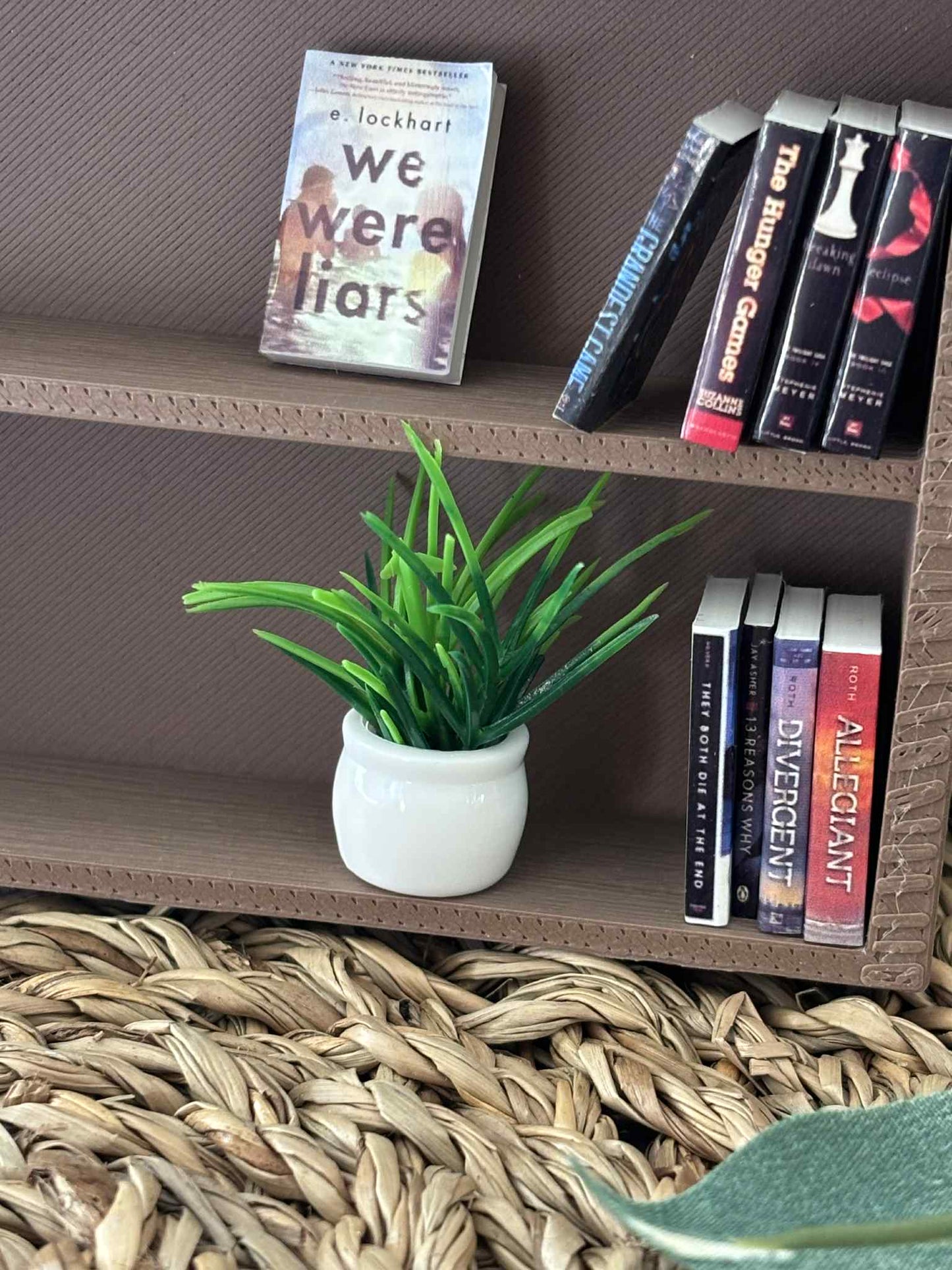 Mini gressplante til Miniatyr bokhylle