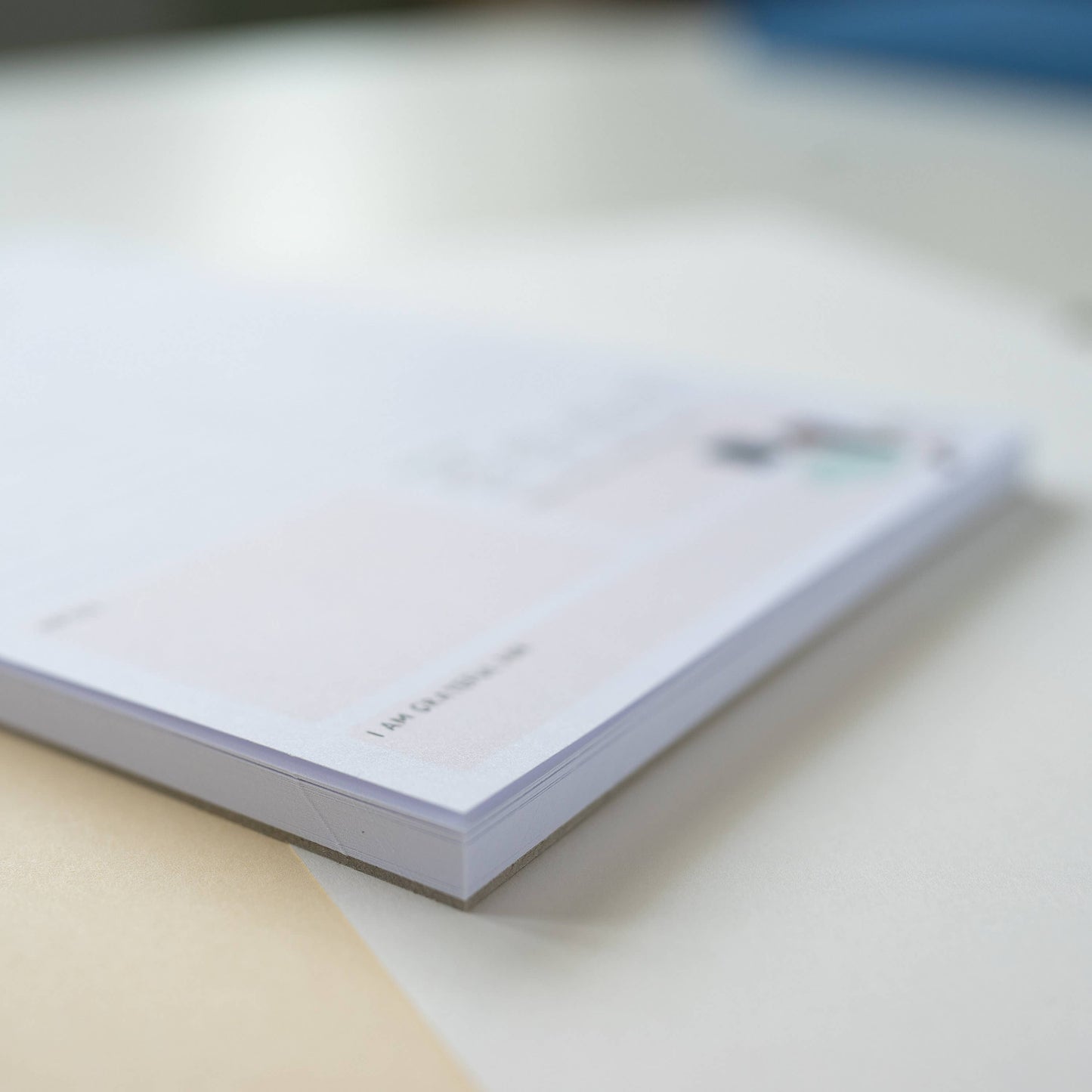 Black Cat Daily Planner