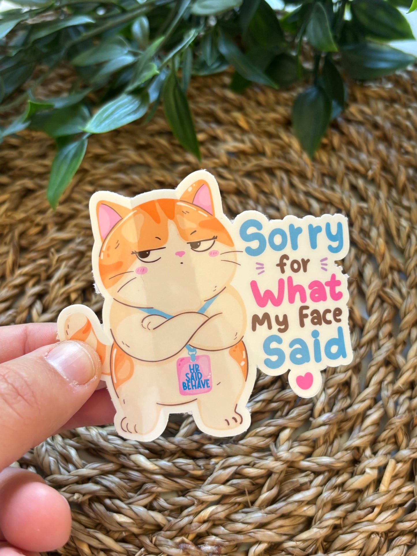 Sorry for what my face said Sticker