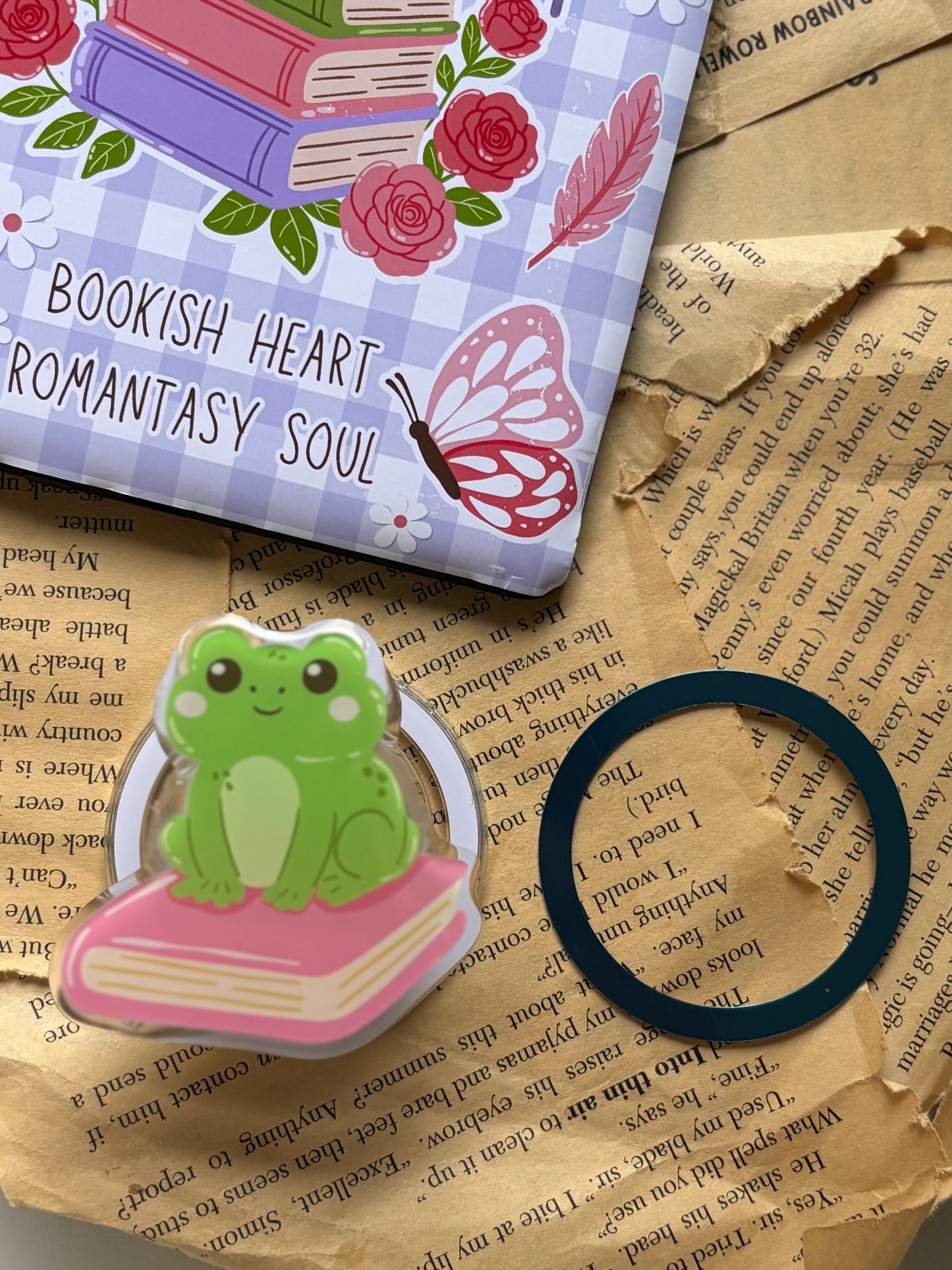 Frog on Book Kindle Grip
