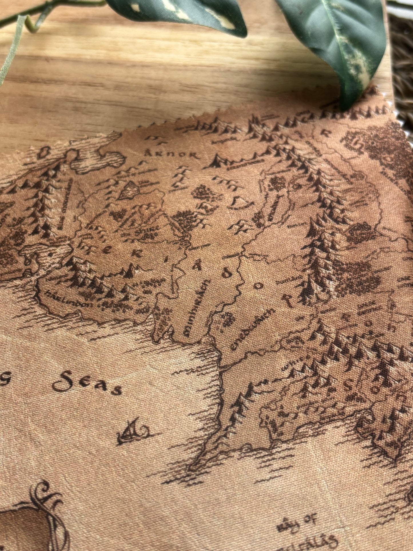 LotR Map Pusseklut / Brilleklut