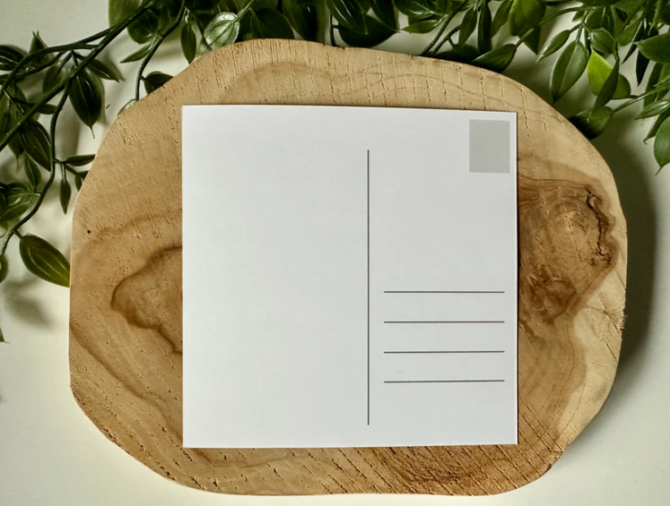 Cat's Magic Store Kort