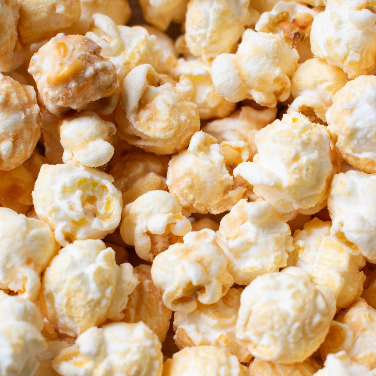 Say Cheese! Gourmet Popcorn