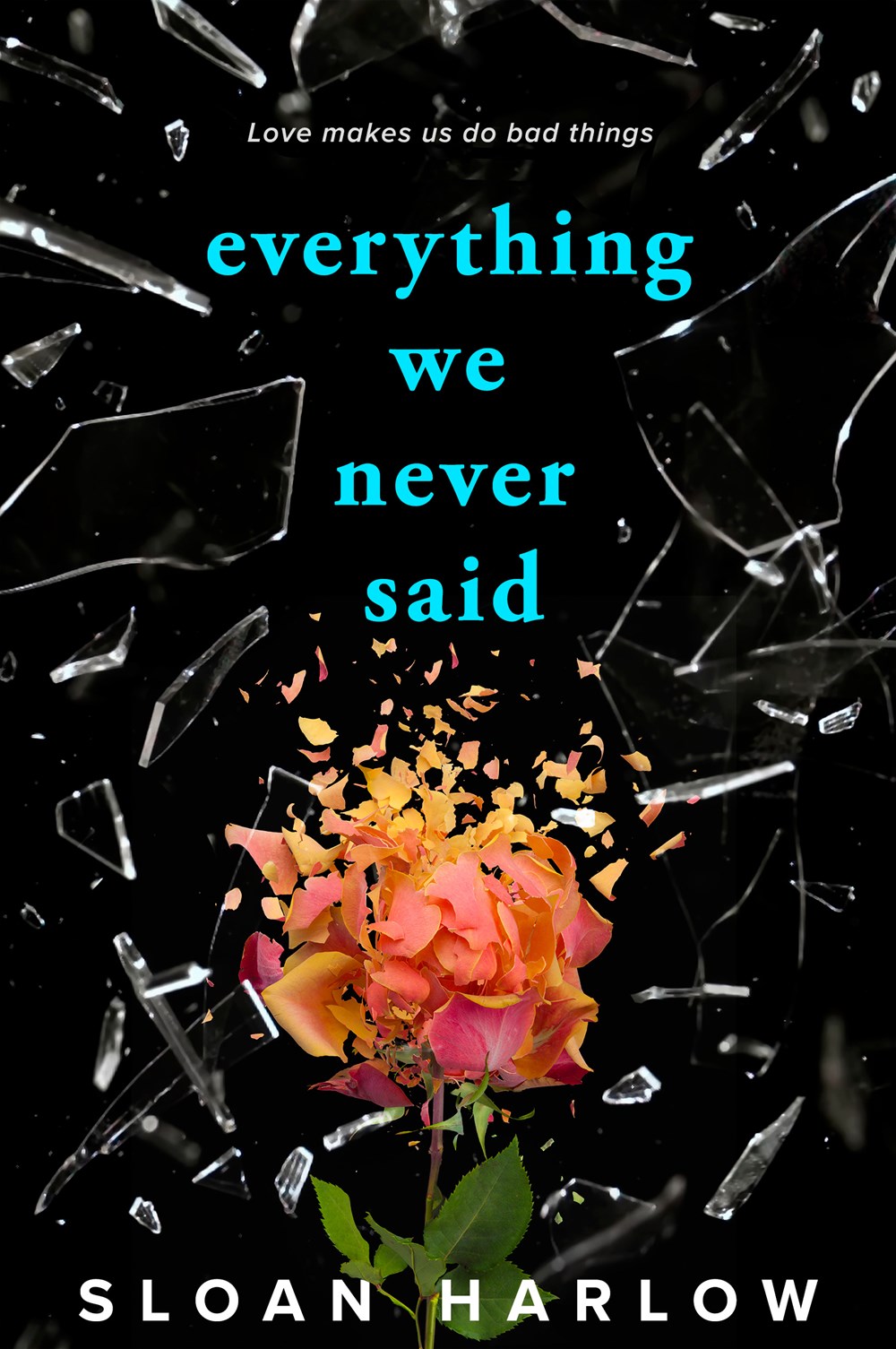 Everything We Never Said - Sloan Harlow (Pre-Loved)