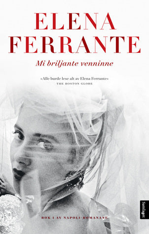 Mi briljante venninne - Elena Ferrante (Pre-Loved)