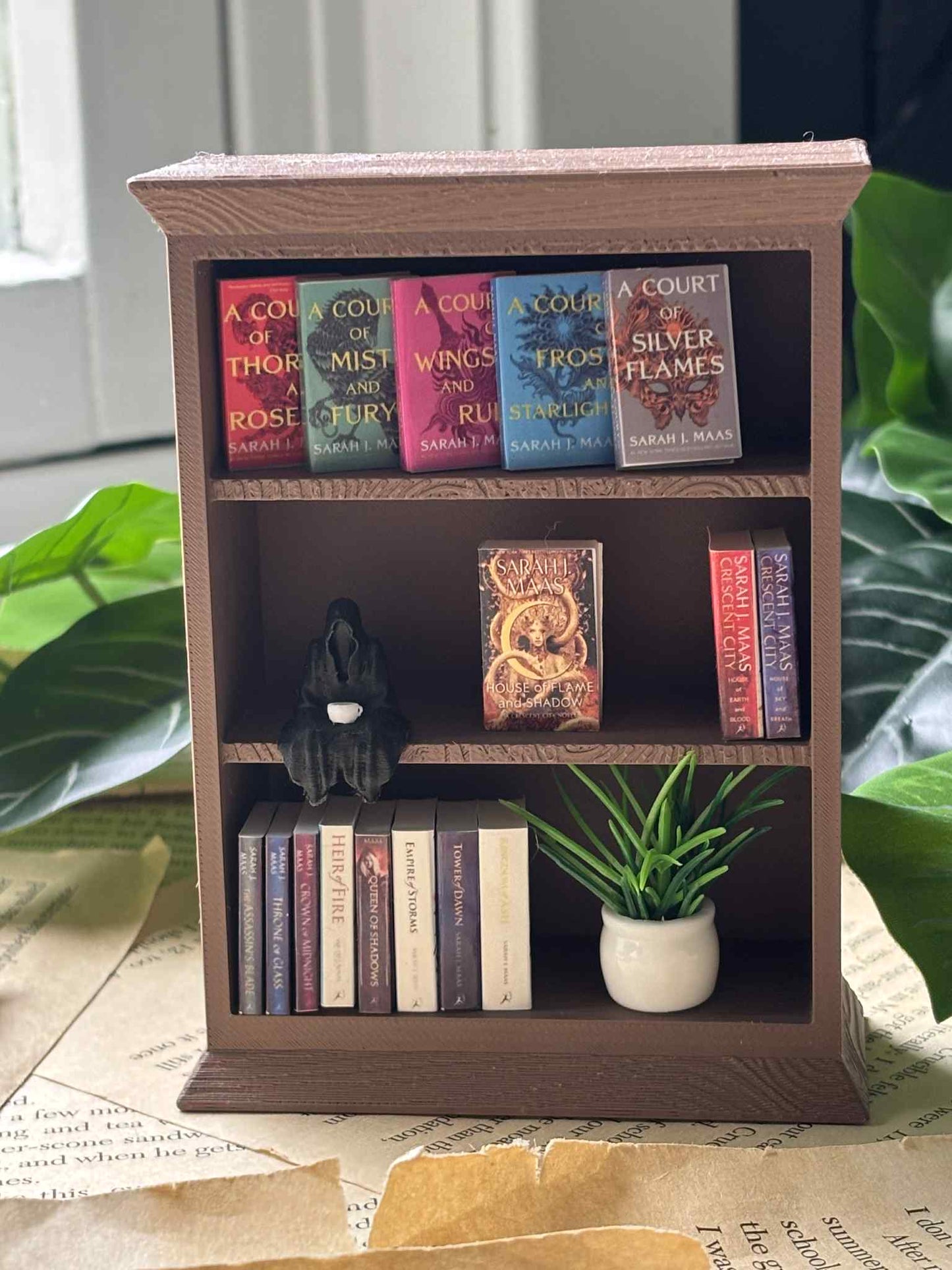 Shelf of Maas Destruction
