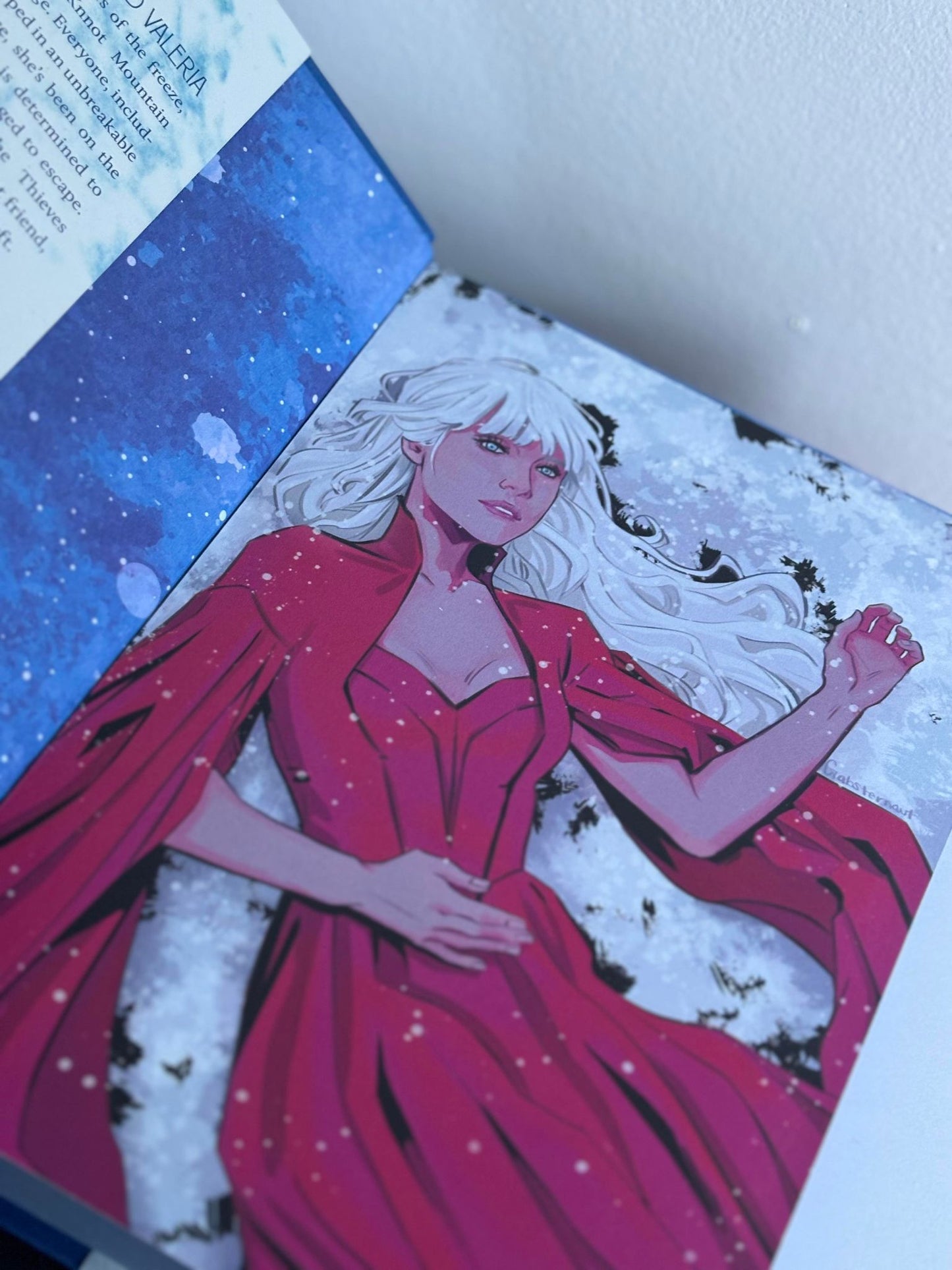 The Bright & the Pale - Jessica Rubinkowski - FairyLoot Edition (Pre-Loved)