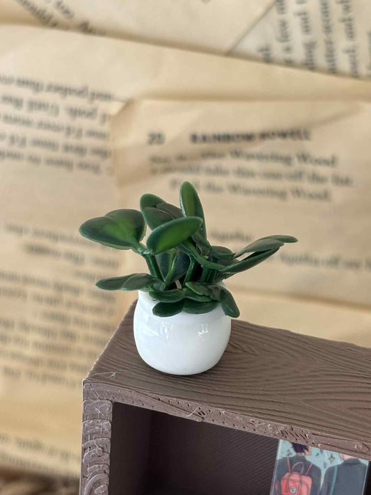 Mini bladplante til Miniatyr bokhylle