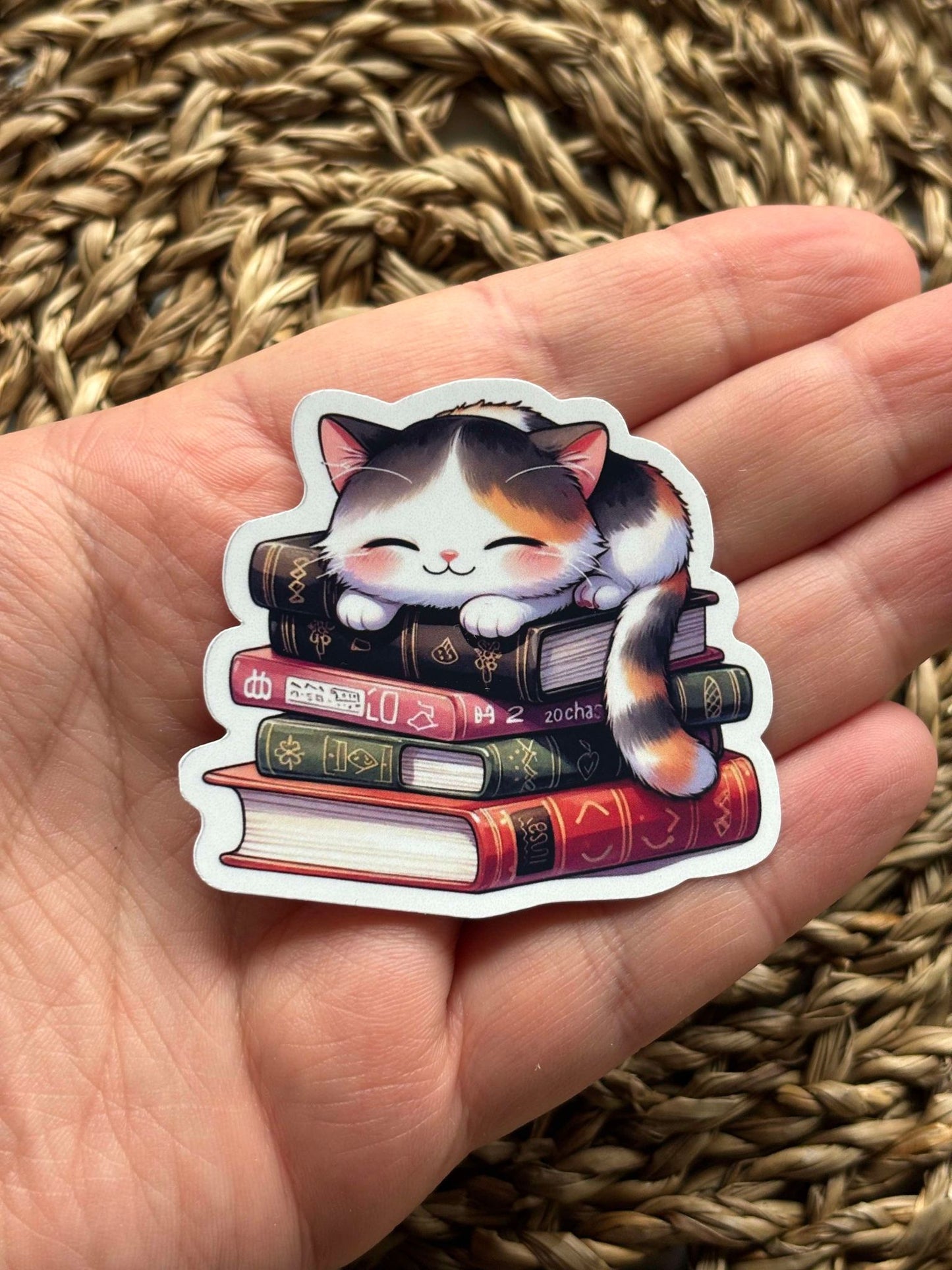 Sleeping Cat Bookstack Sticker