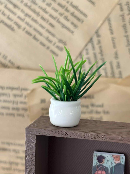 Mini gressplante til Miniatyr bokhylle