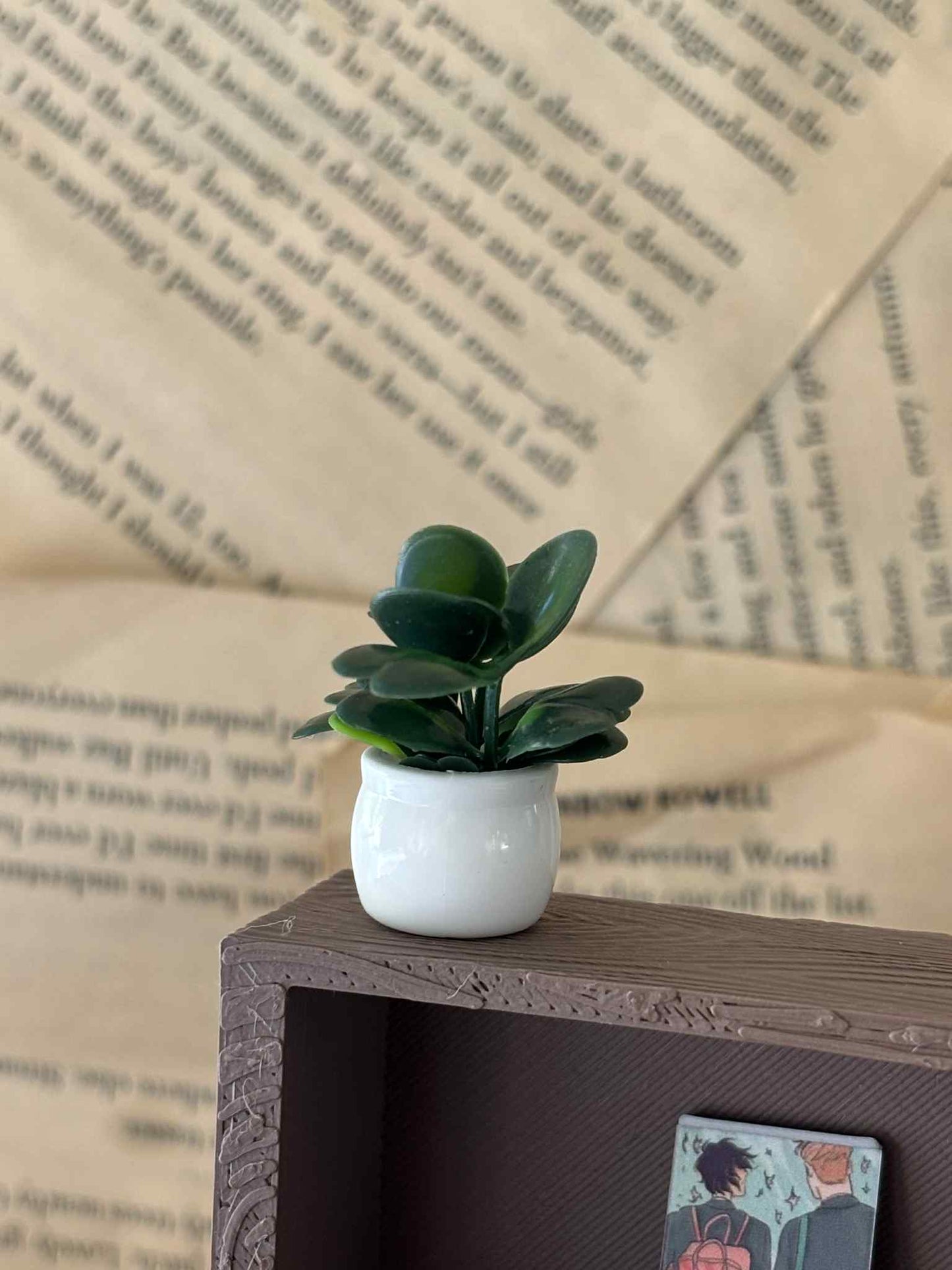 Mini bladplante til Miniatyr bokhylle