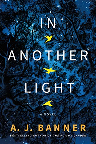 In Another Light - A.J. Banner (Pre-Loved)