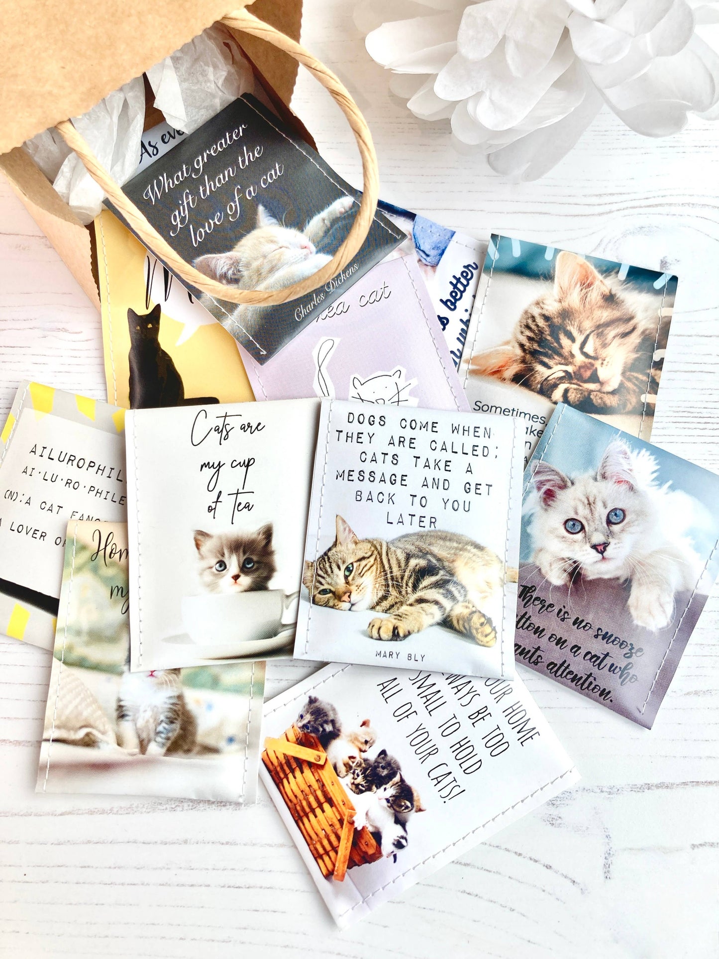 Cat Lovers Tesett