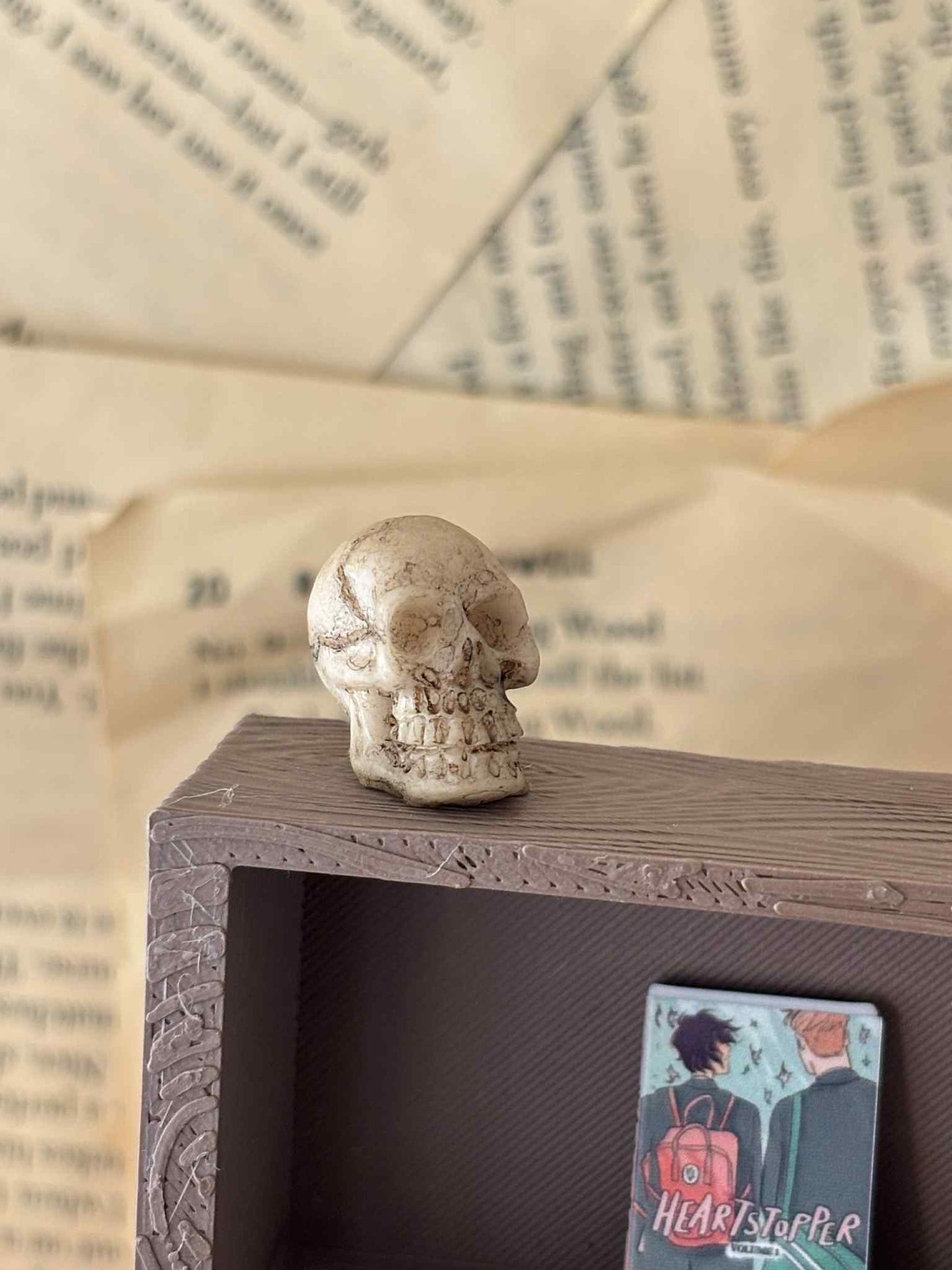 Mini hodeskalle til Miniatyr bokhylle