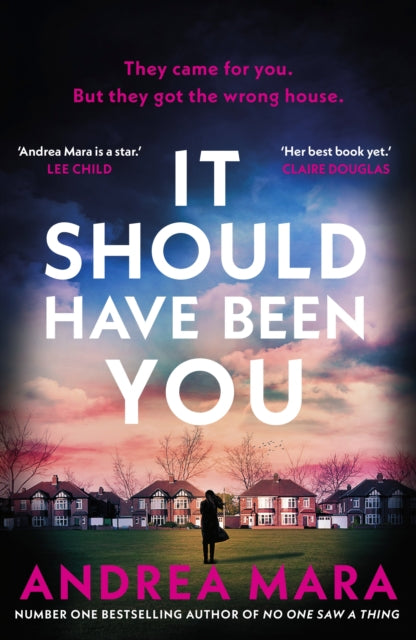 It Should Have Been You - Andrea Mara