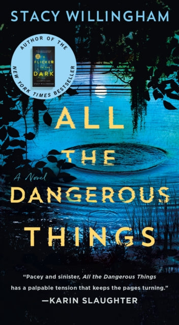 All the Dangerous Things - Stacy Willingham