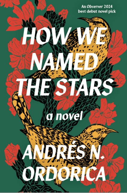 How We Named the Stars - Andrés N. Ordorica