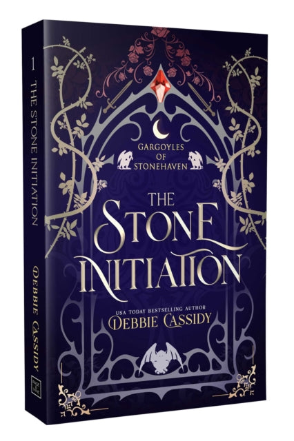 The Stone Initiation - Debbie Cassidy (Forhåndsbestilling)