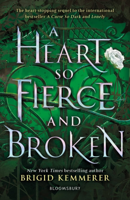 A Heart So Fierce and Broken - Brigid Kemmerer (Pre-Loved)