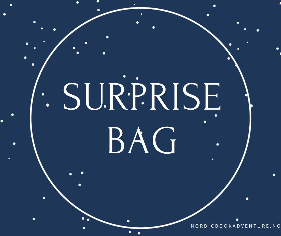 BOOKISH SURPRISE BAG