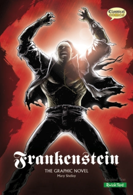 Frankenstein (Graphic Novel) - Mary Wollstonecraft Shelley