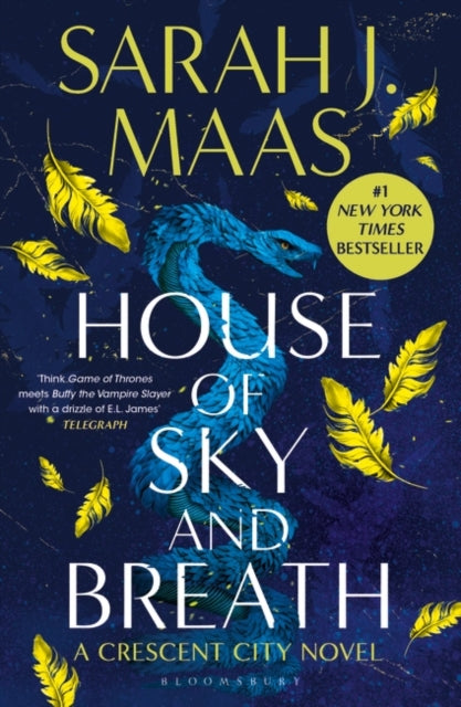 House of Sky and Breath - Sarah J. Maas