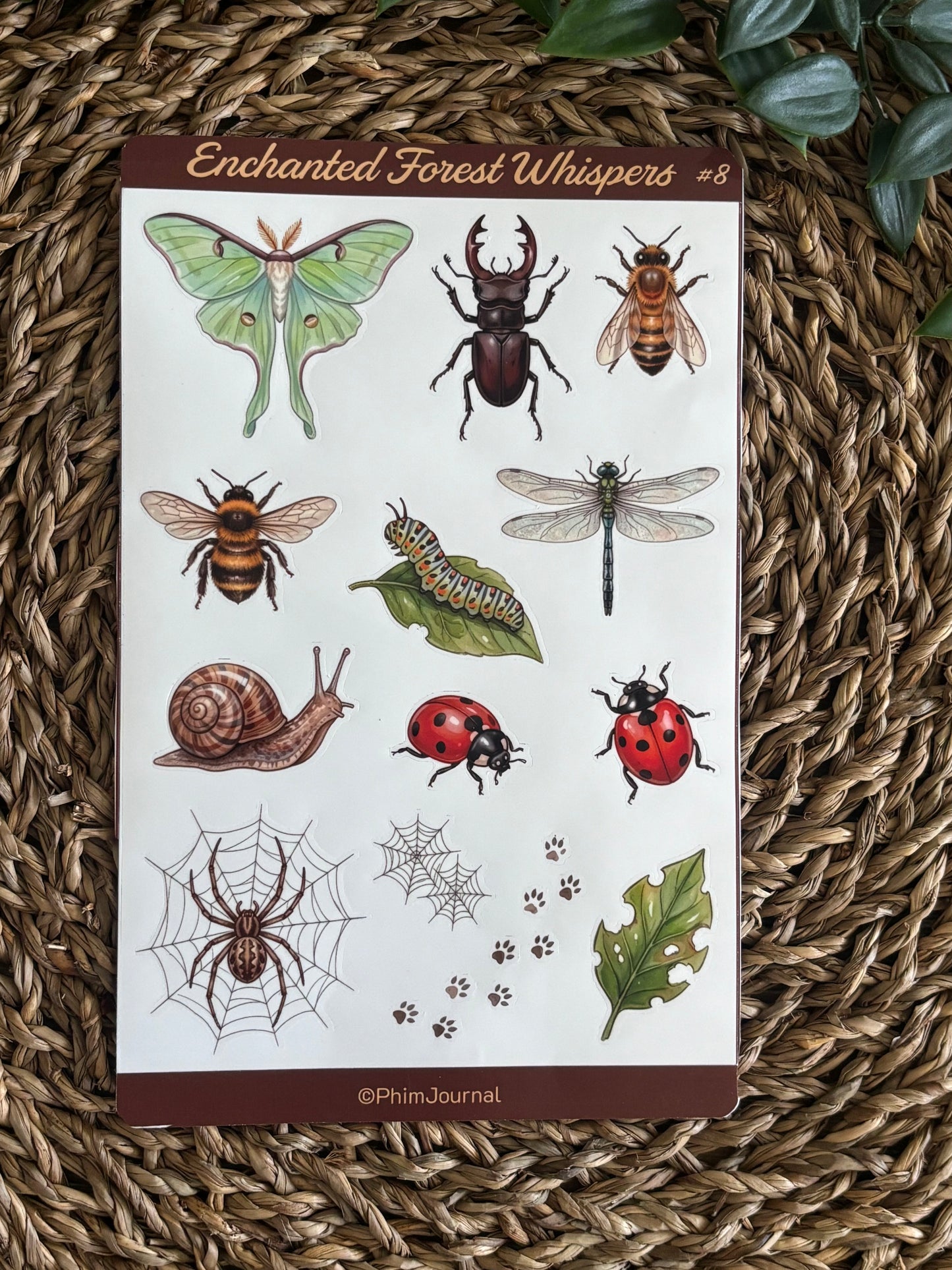 Enchanted Forest Whispers #8 Sticker Sheet