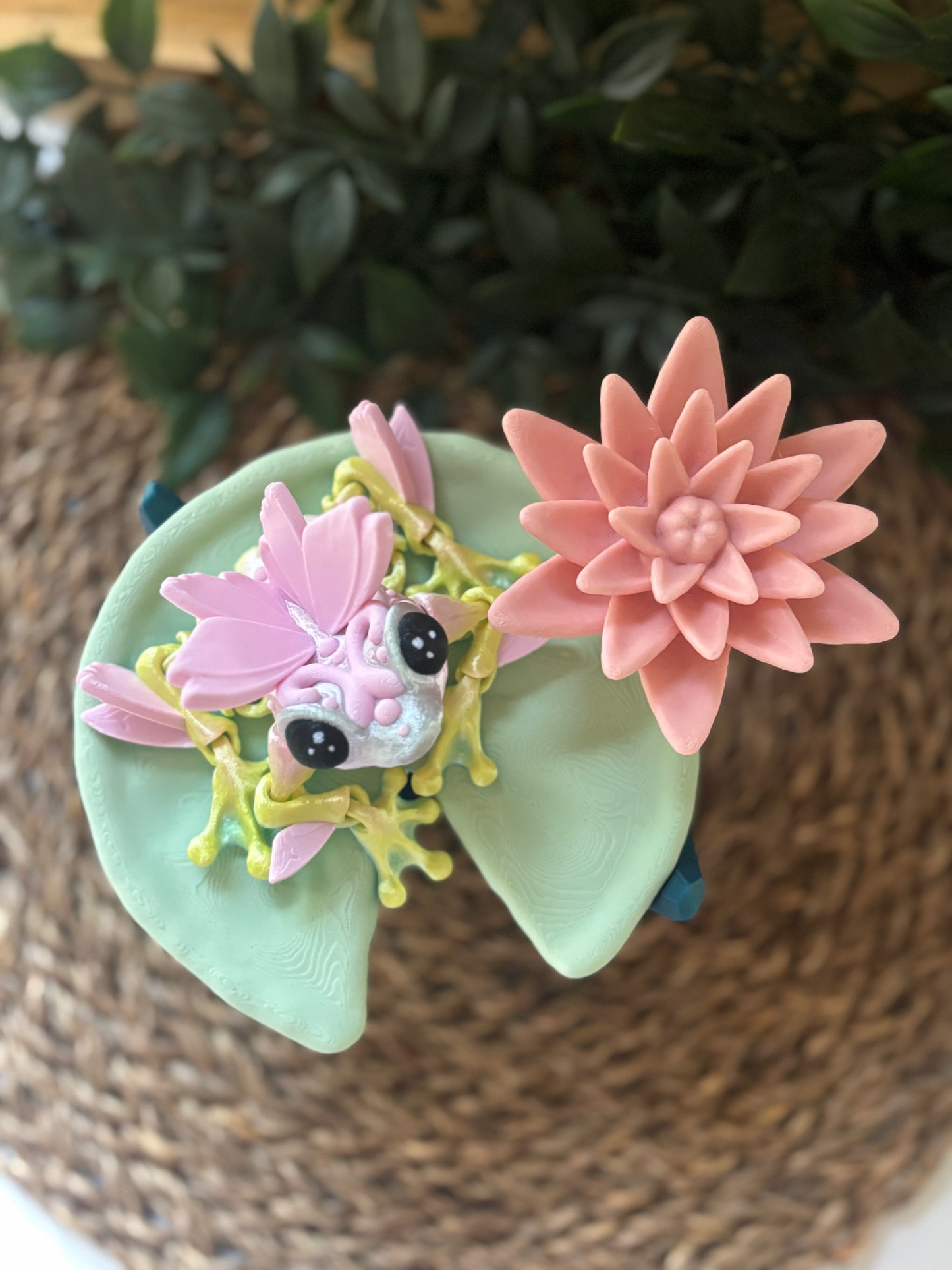🌿 Lilypad Display Stand