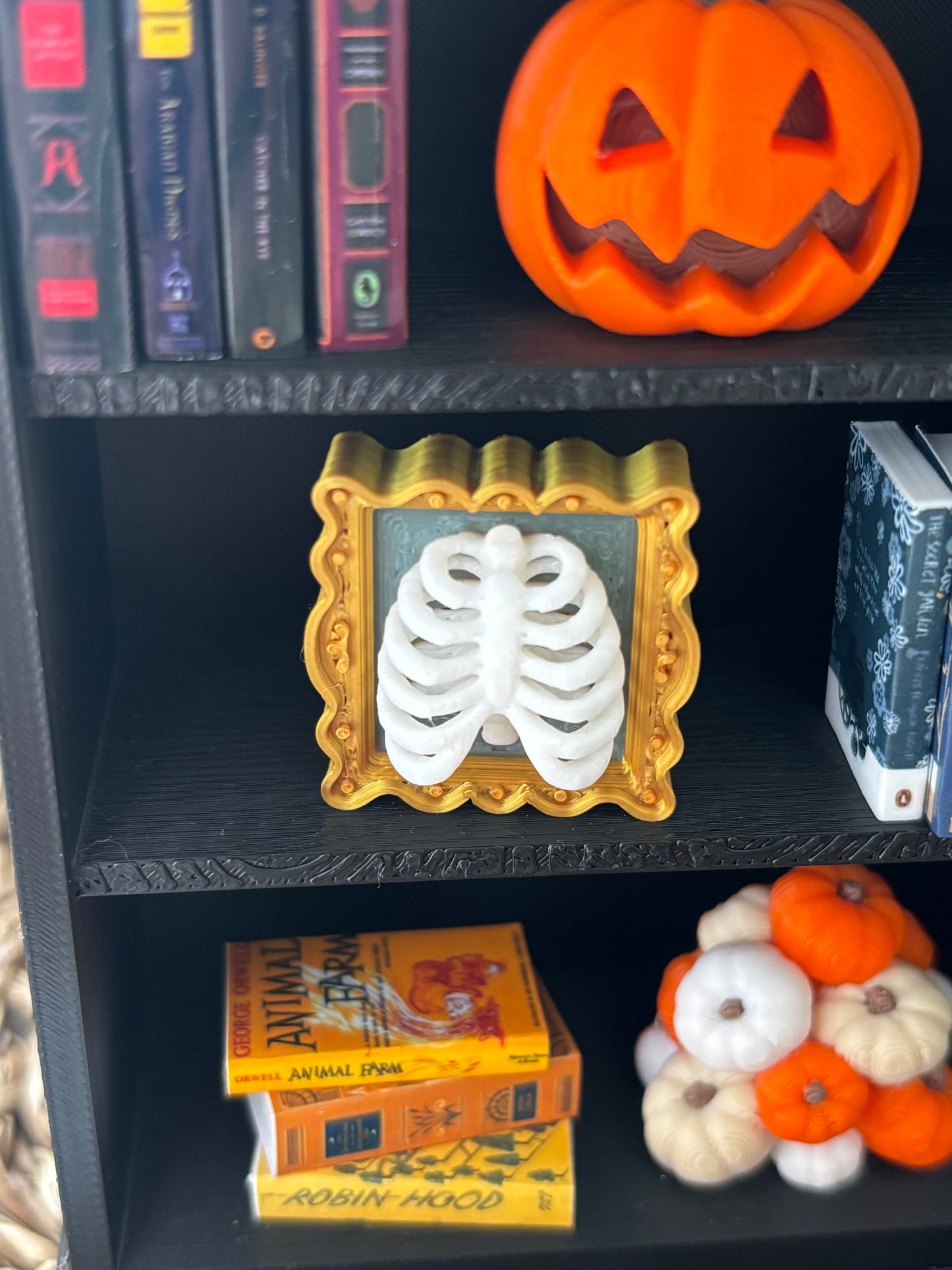 Skeleton picture  -  Miniatyr til mini bokhyller