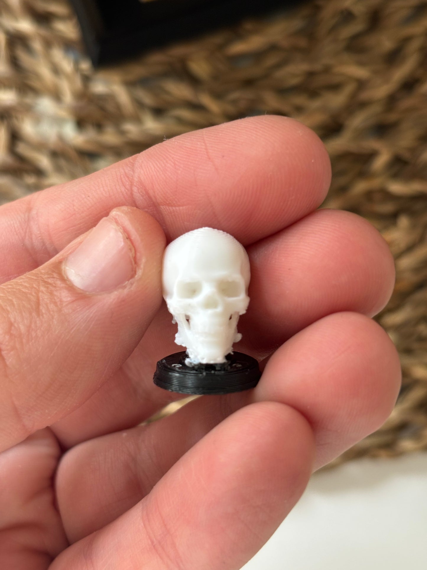 Skull on stand -  Miniatyr til mini bokhyller