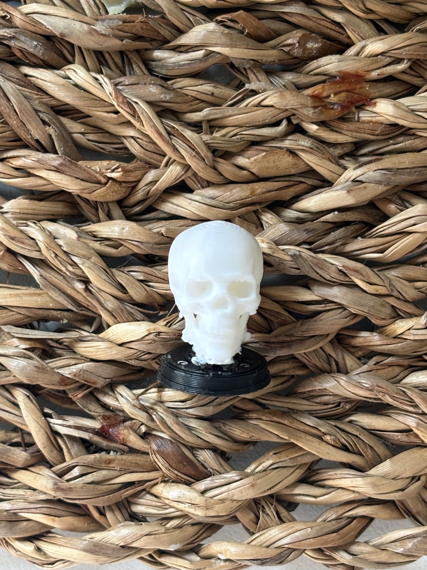 Skull on stand -  Miniatyr til mini bokhyller