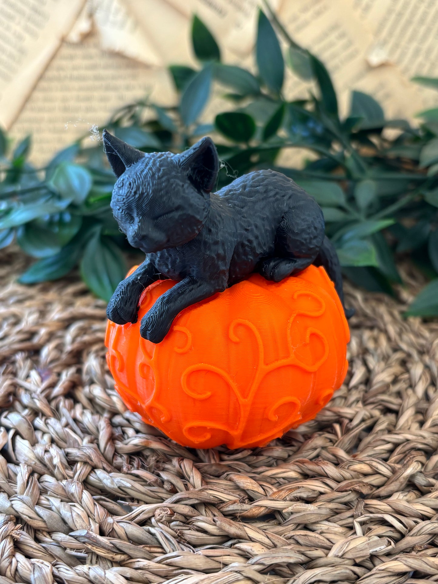 Cat lying on pumpkin Halloween dekorasjon