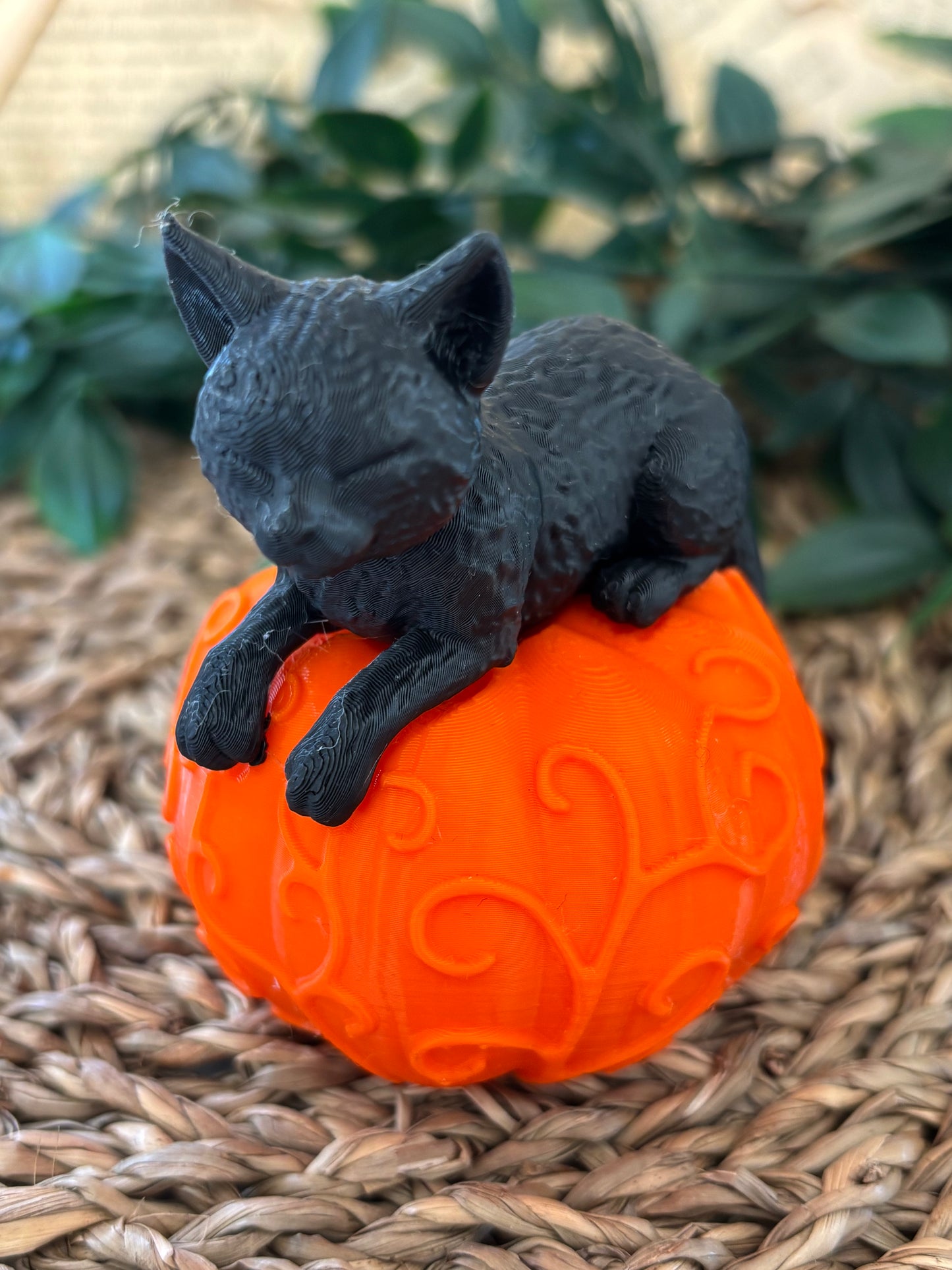Cat lying on pumpkin Halloween dekorasjon