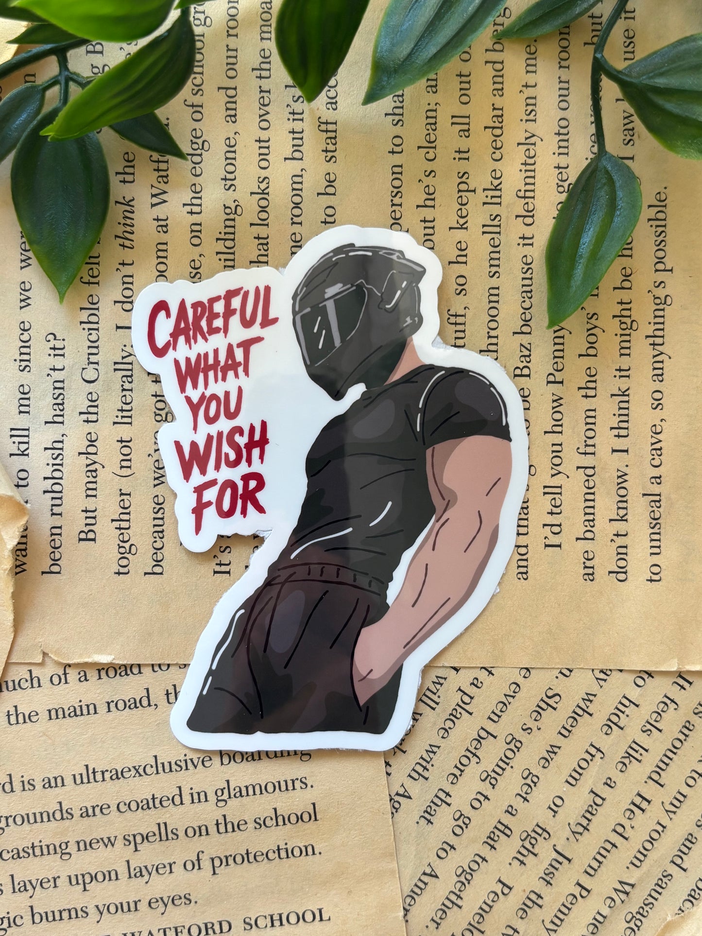 Careful what you wish for sticker