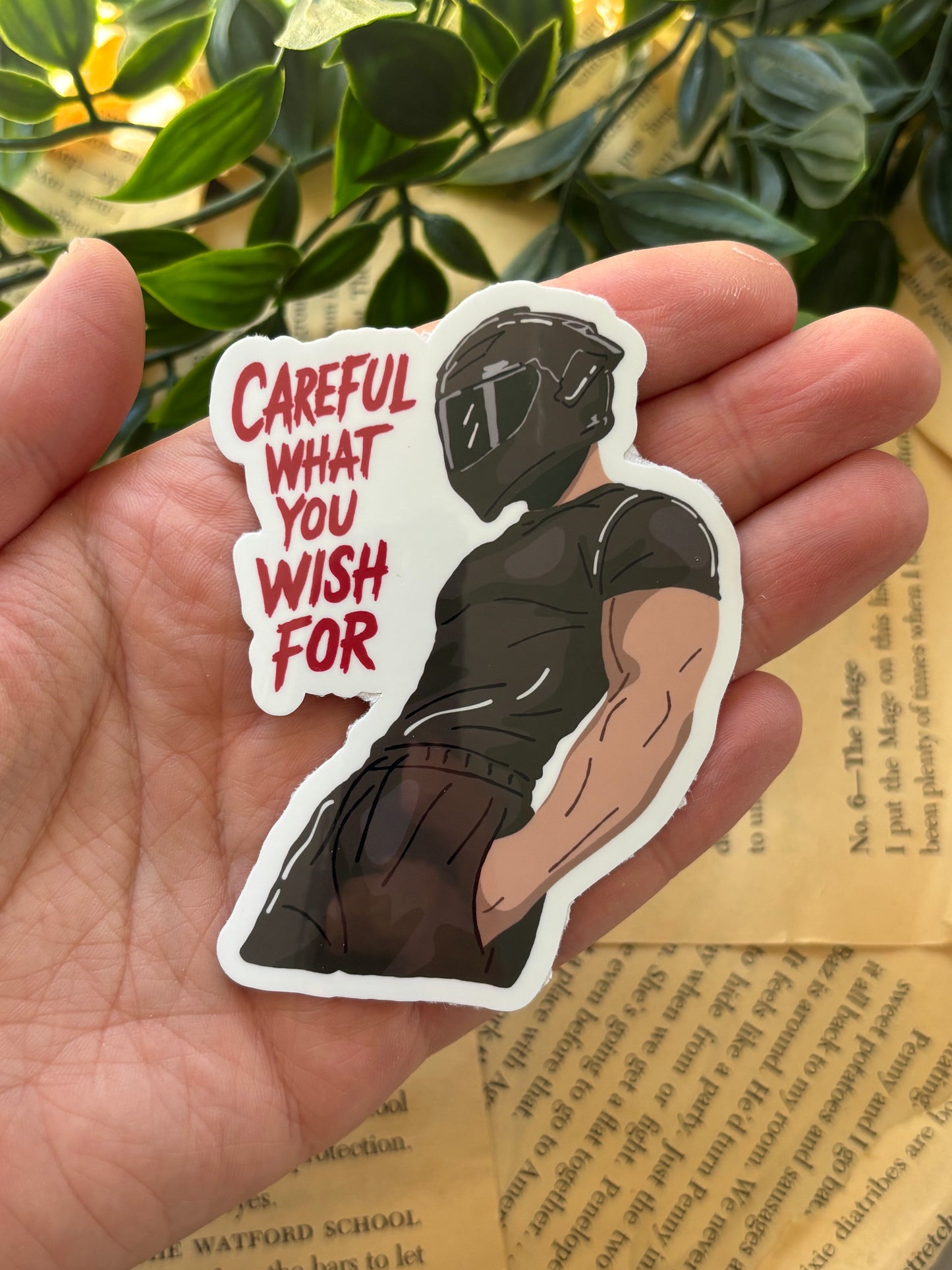 Careful what you wish for sticker