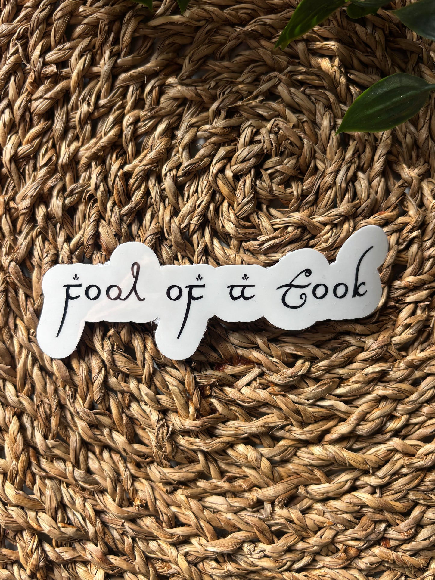 Fool of a Took sticker