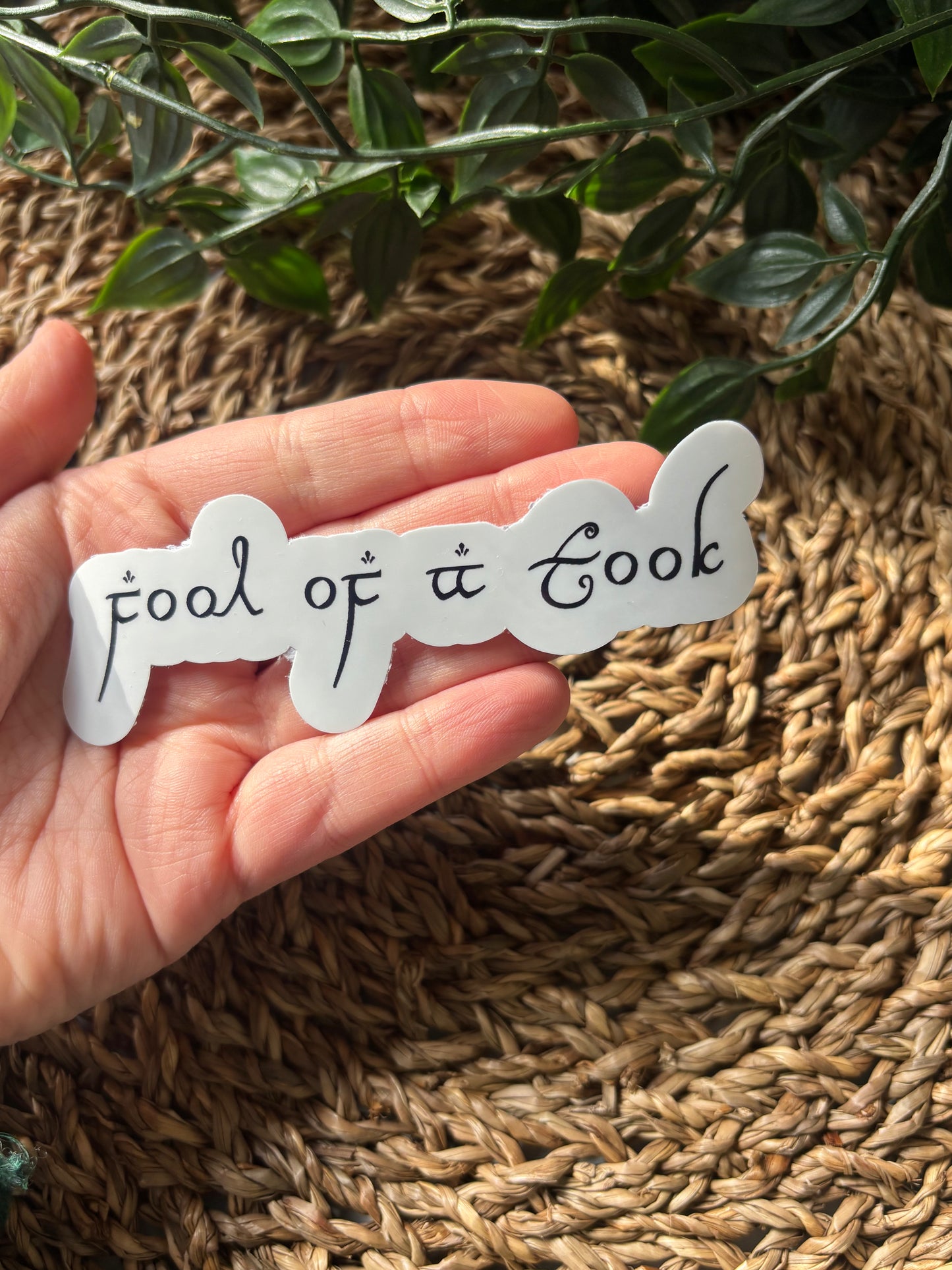 Fool of a Took sticker