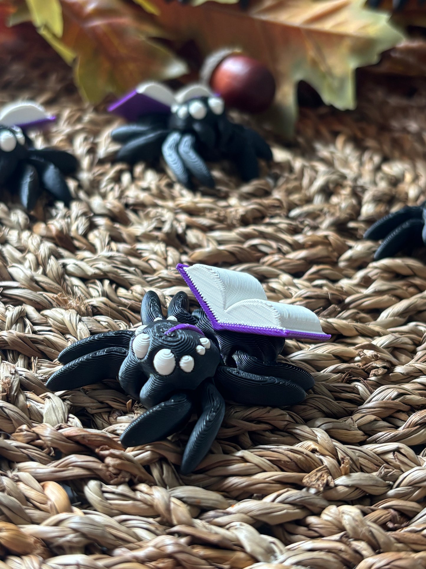 Tiny Spider with book