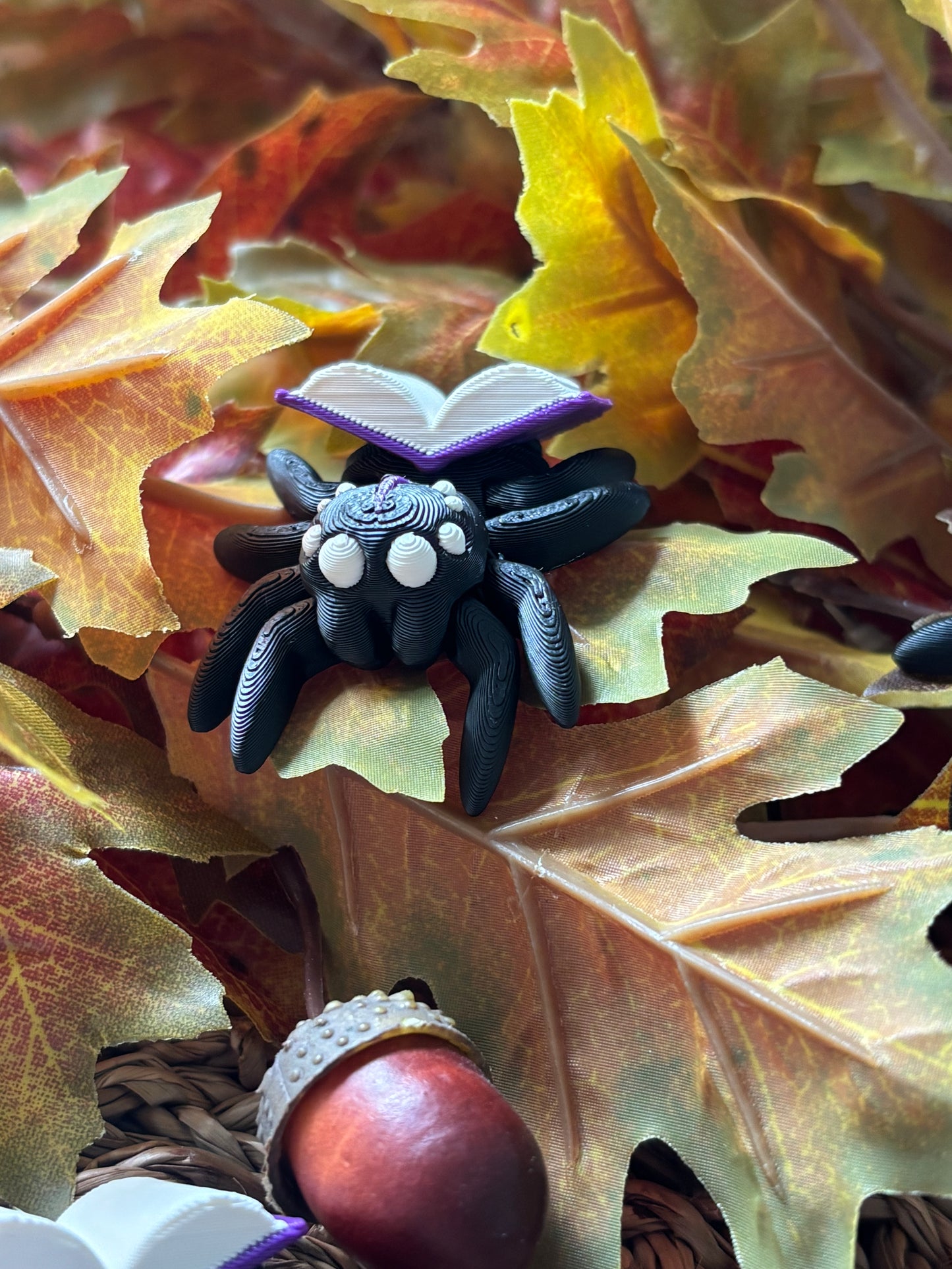 Tiny Spider with book