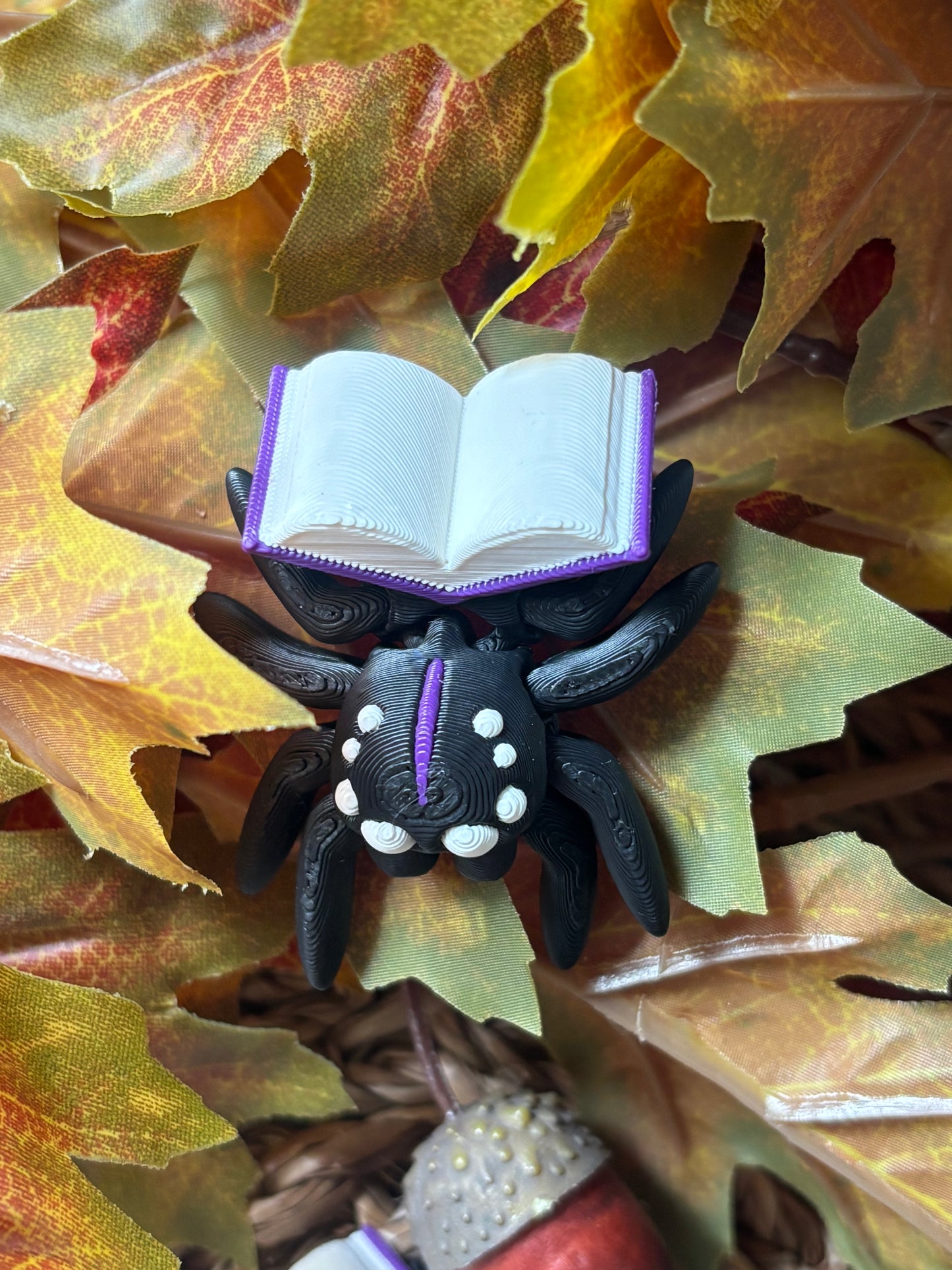 Tiny Spider with book