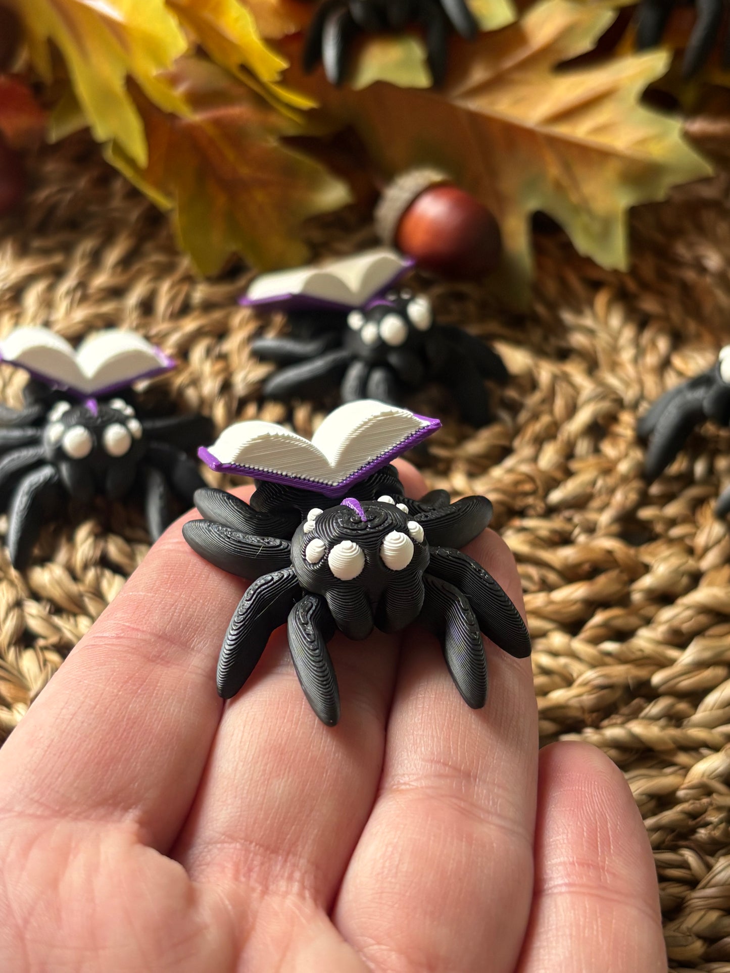 Tiny Spider with book