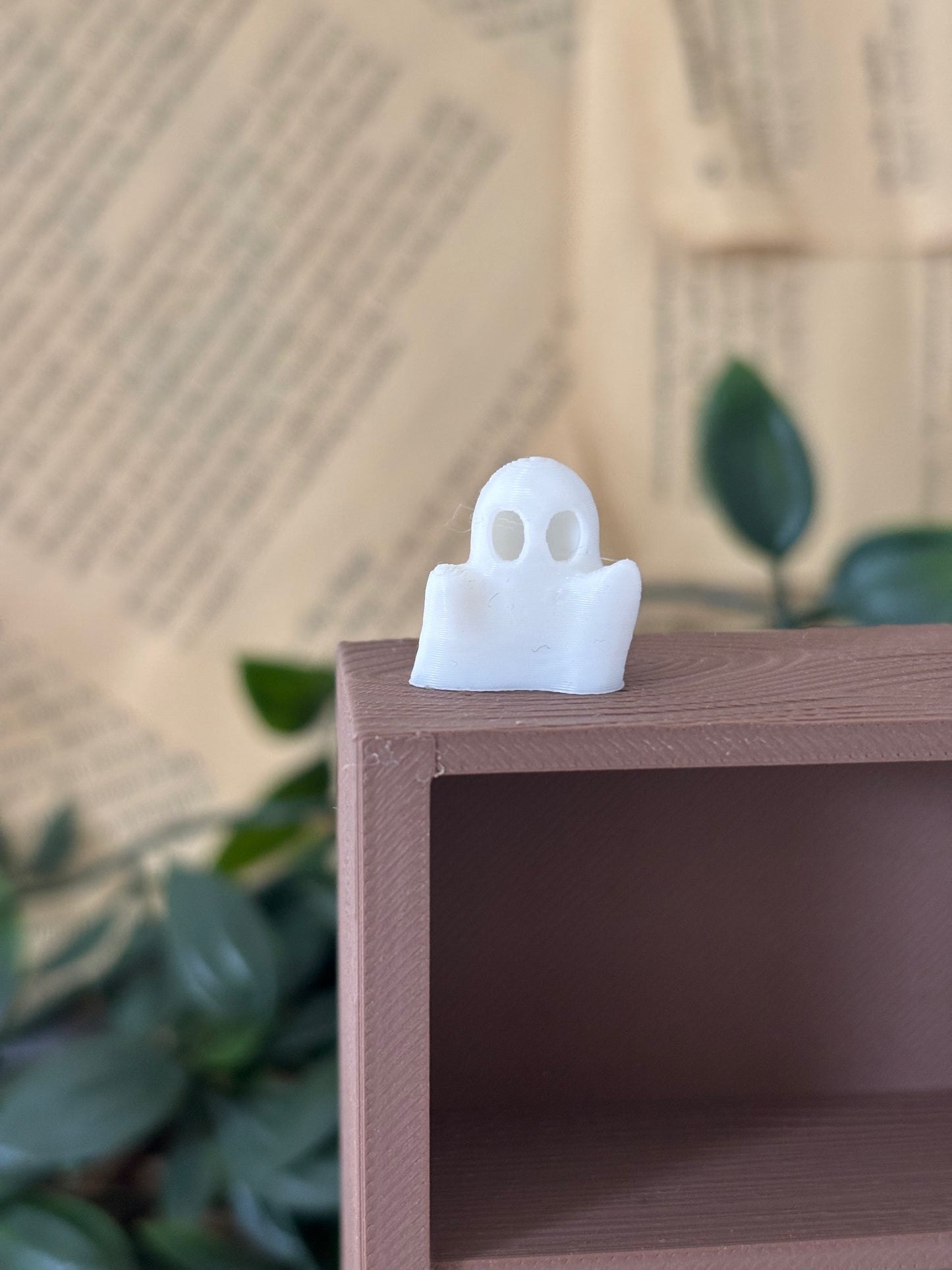 Spøkelse til miniatyr bokhylle