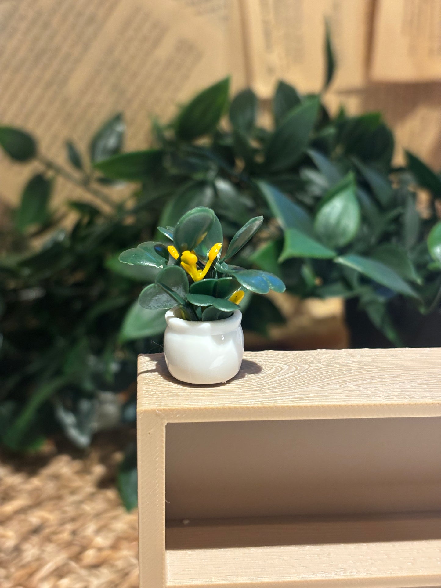 Mini bladplante m/ blomster til Miniatyr bokhylle