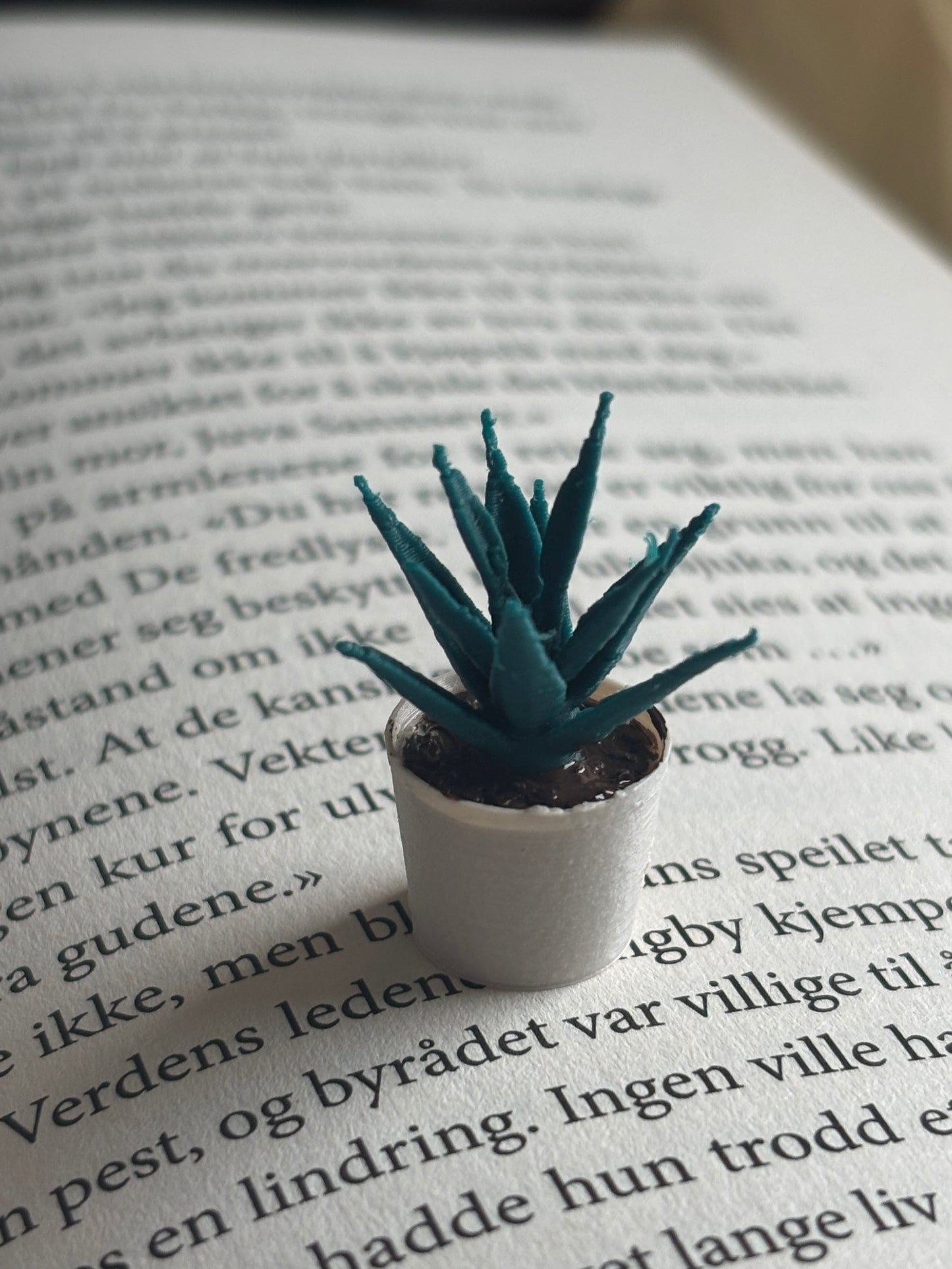 Mini Aloe Vera til Miniatyr bokhylle