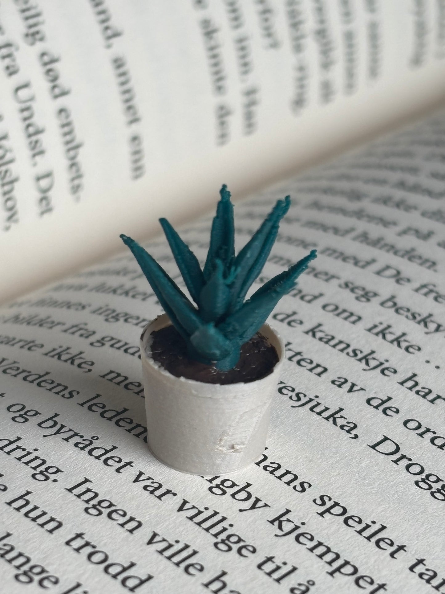 Mini Aloe Vera til Miniatyr bokhylle