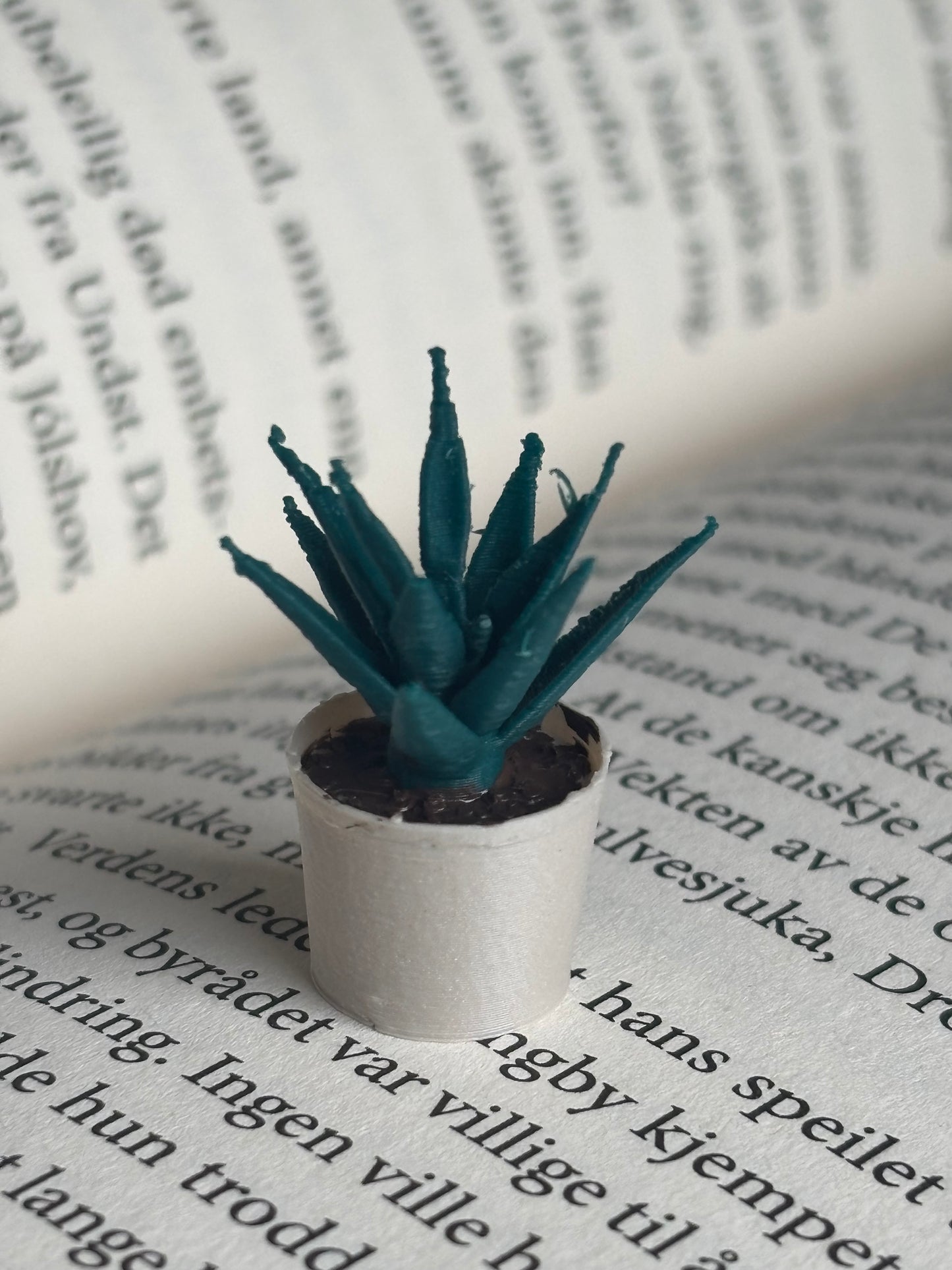 Mini Aloe Vera til Miniatyr bokhylle