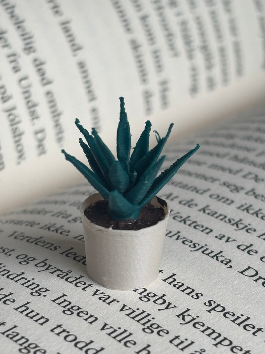 Mini Aloe Vera til Miniatyr bokhylle