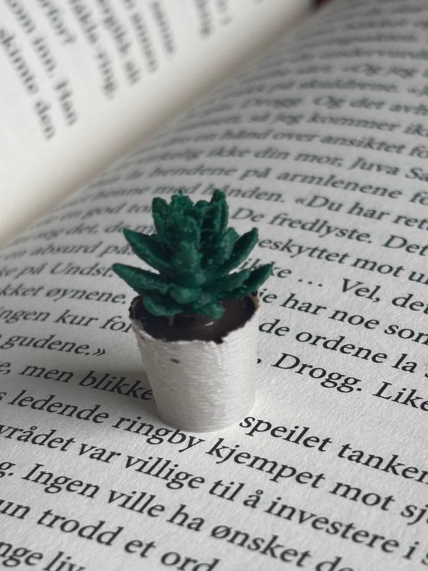 Mini Succulent til Miniatyr bokhylle